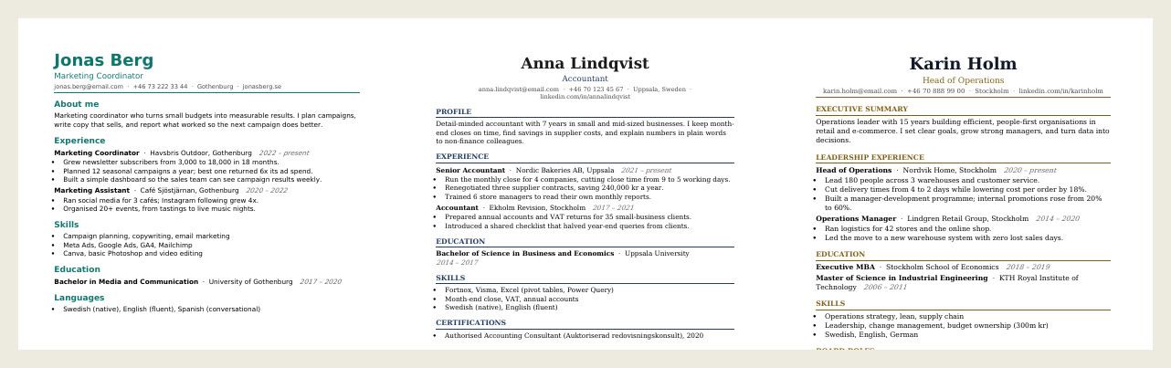 Three of the five CV designs: Modern, Classic and Executive